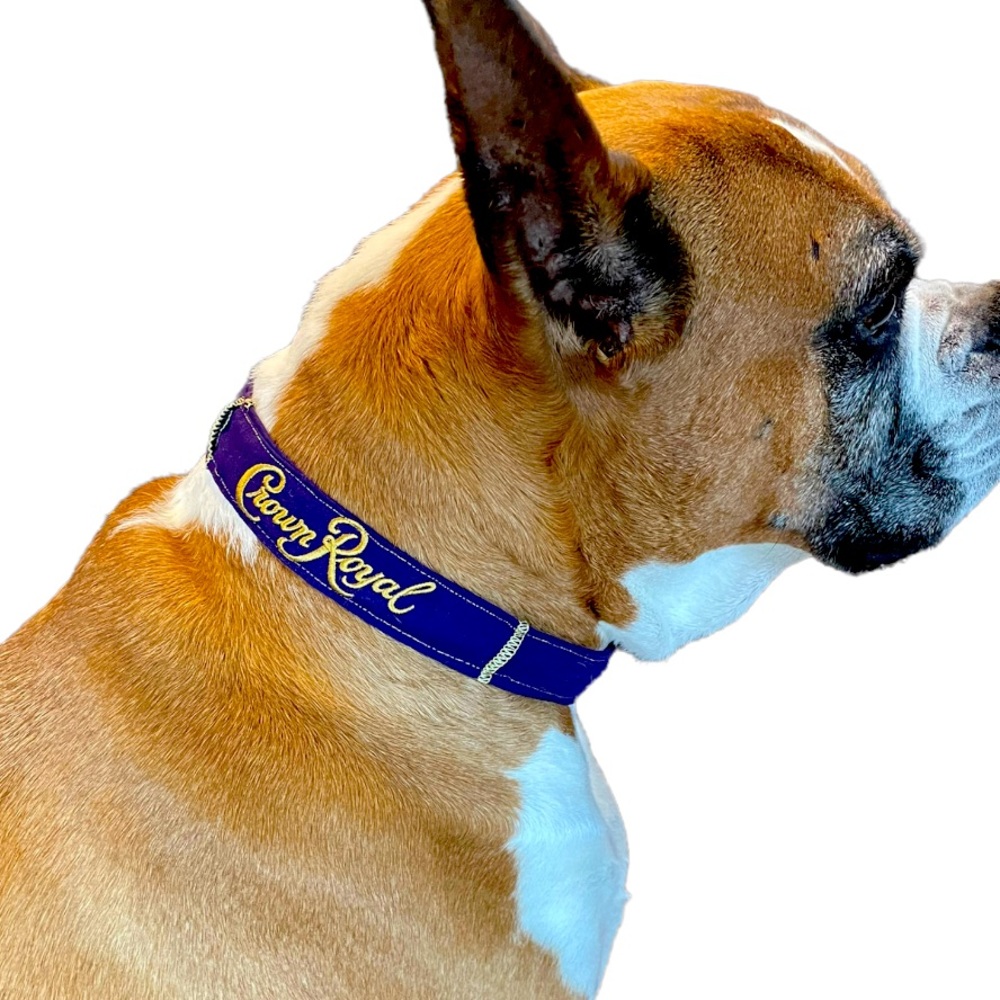 Take the crown up cycled collar